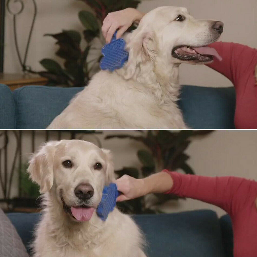 pet hair remover brush