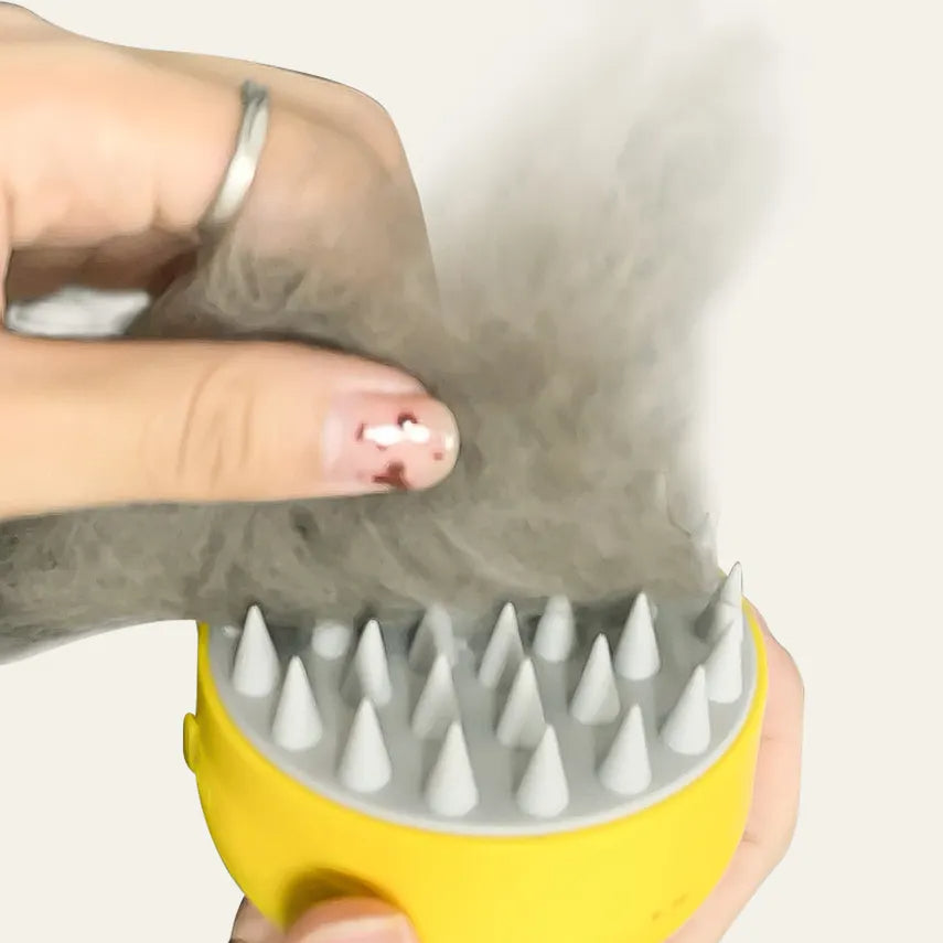 Cat Spray And Electric Massage Comb Hair