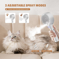 4-in-1 cat steam brush