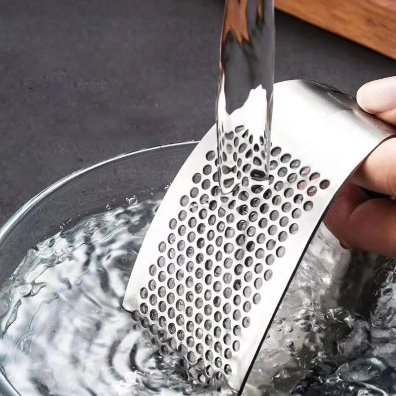 Stainless Steel Garlic Press